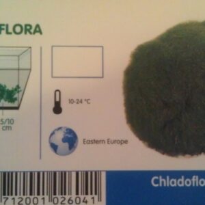 Moss Boll 2-3 cm
