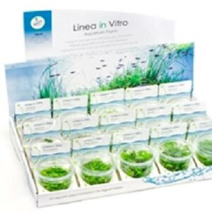 15 pack mix VC
